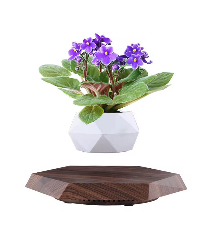 Levitating - Floating Flower Pot with Wood Base
